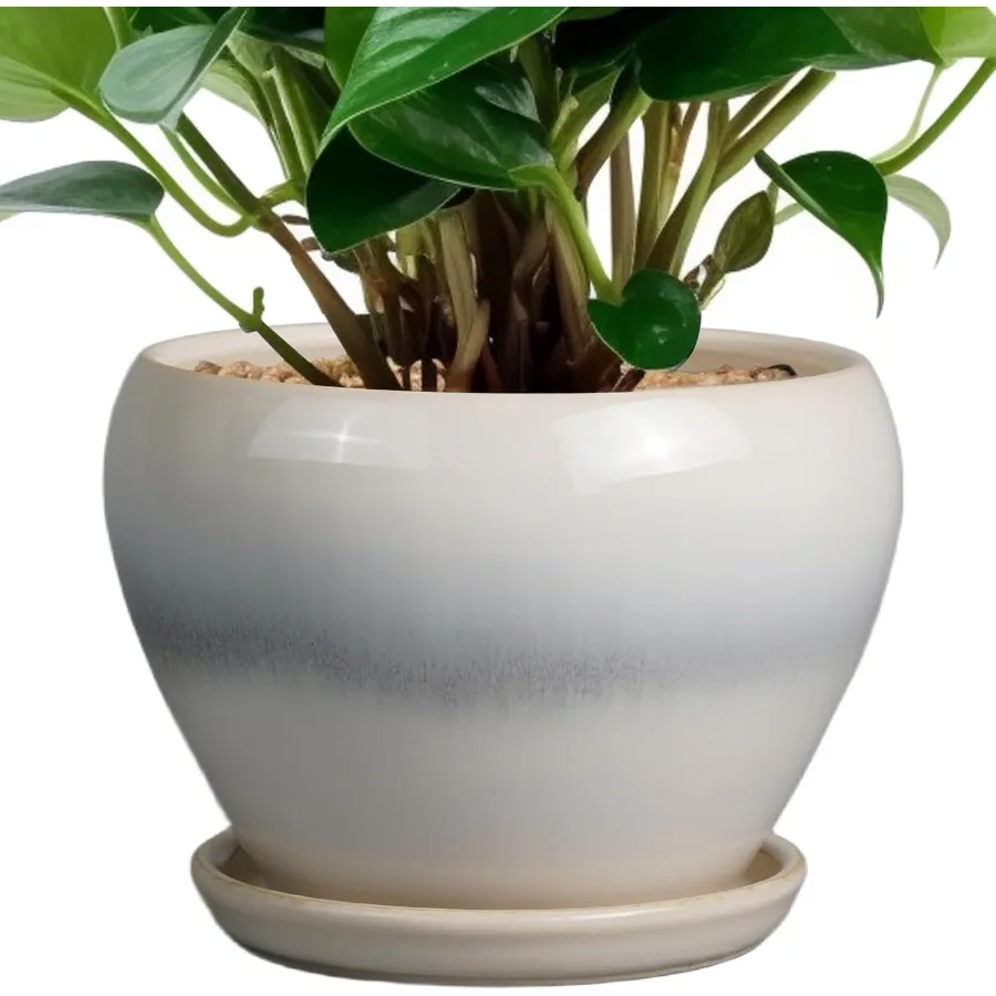 

6 Inch Ceramic Plant Pot with Drainage Hole and Saucer for Indoor Outdoor Use Round Glazed Succulent Pot Ideal for Small Plants