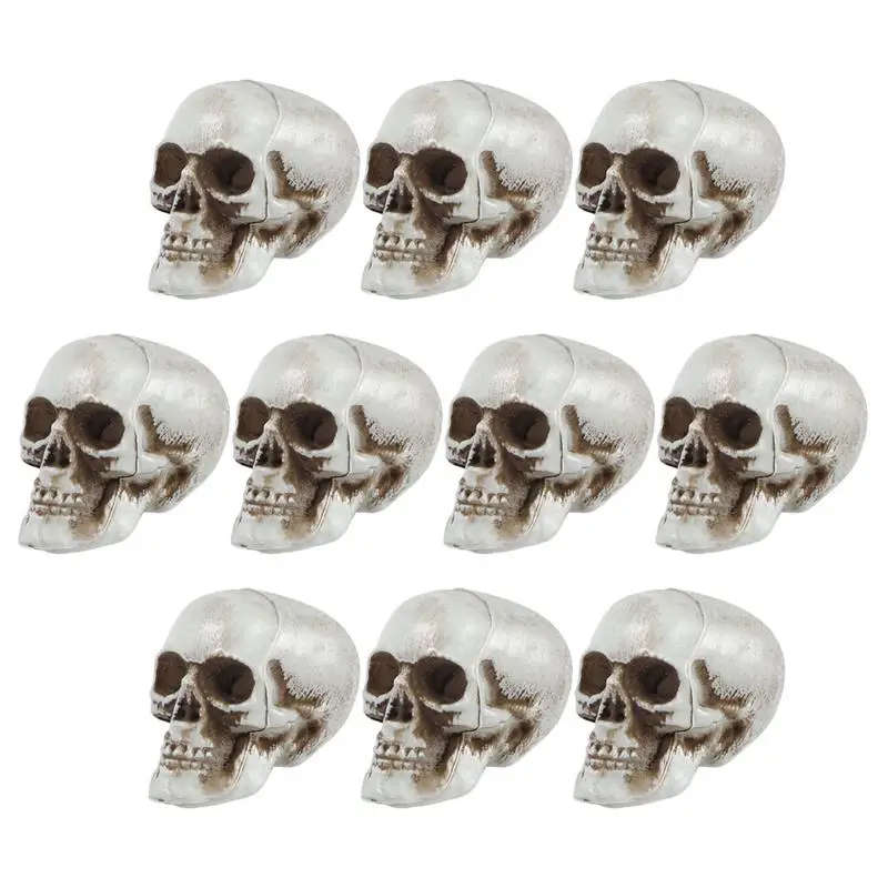 

10pcs Halloween horror skull props plastic skull Halloween Skulls Realistic Human Head Props Home Party Decorations