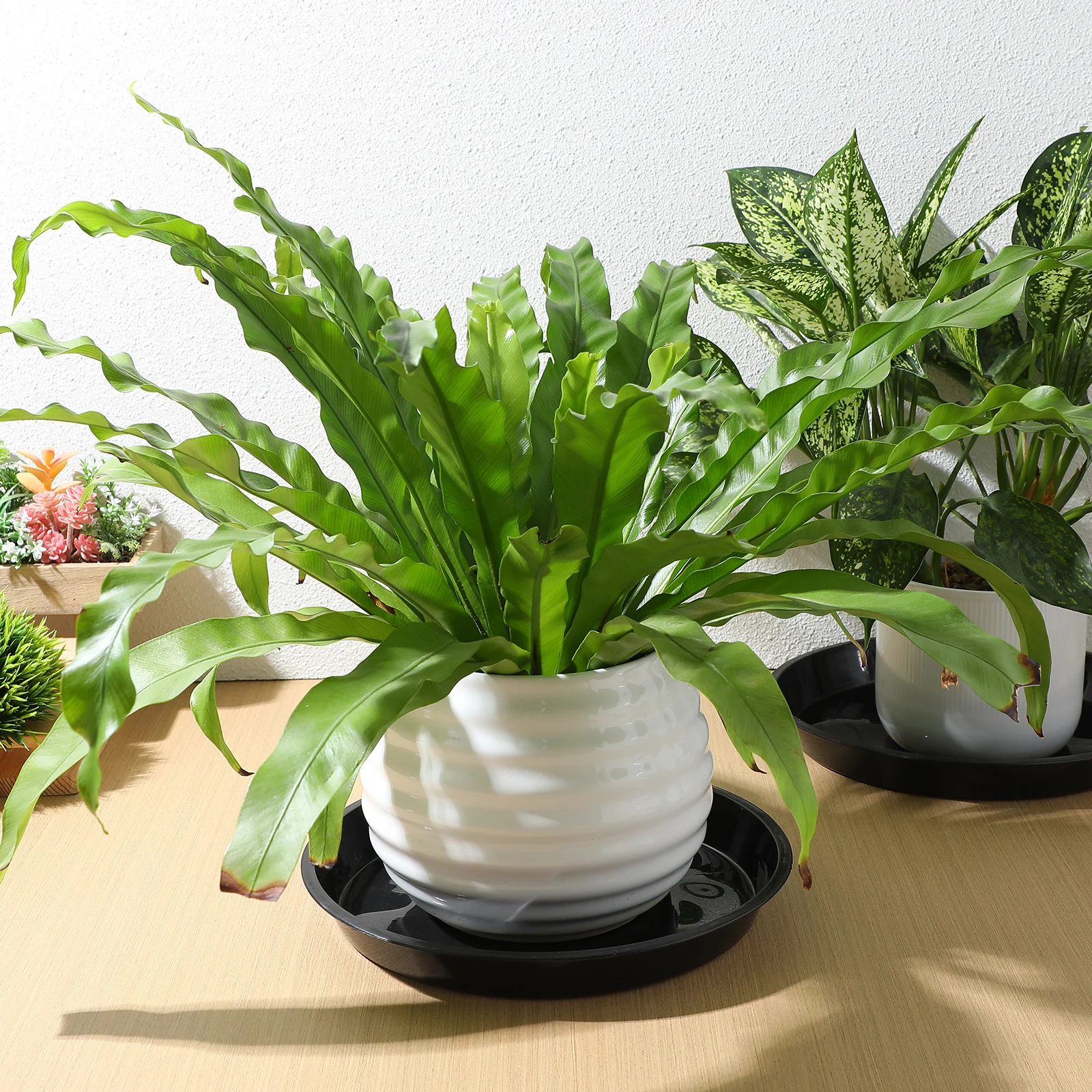 

10 pcs Flowerpot Tray Plastic Drainage Saucer Flower Pot Base Durable Stackable Living Room Office Use Soil Water
