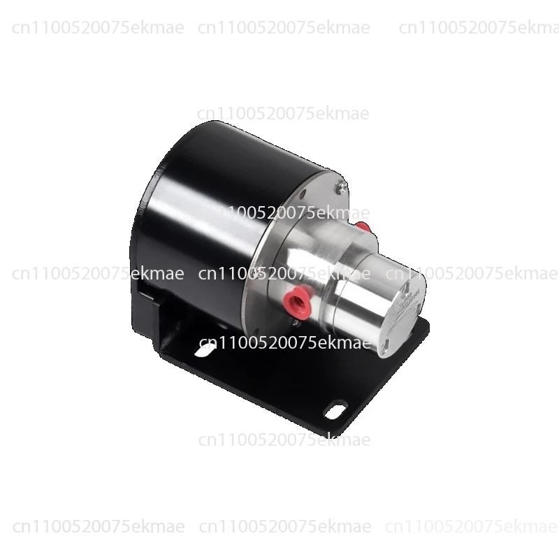 Stainless Steel Micrometering Pump Self-Priming Printing Diesel Coffee Machine Inkjet Magnetic Drive Gear Pump