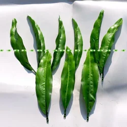 7.8β Party 120pcs Silk Fabric Artificial Plant Tulip Lily Flower Leaves Wedding Party Home Decor
