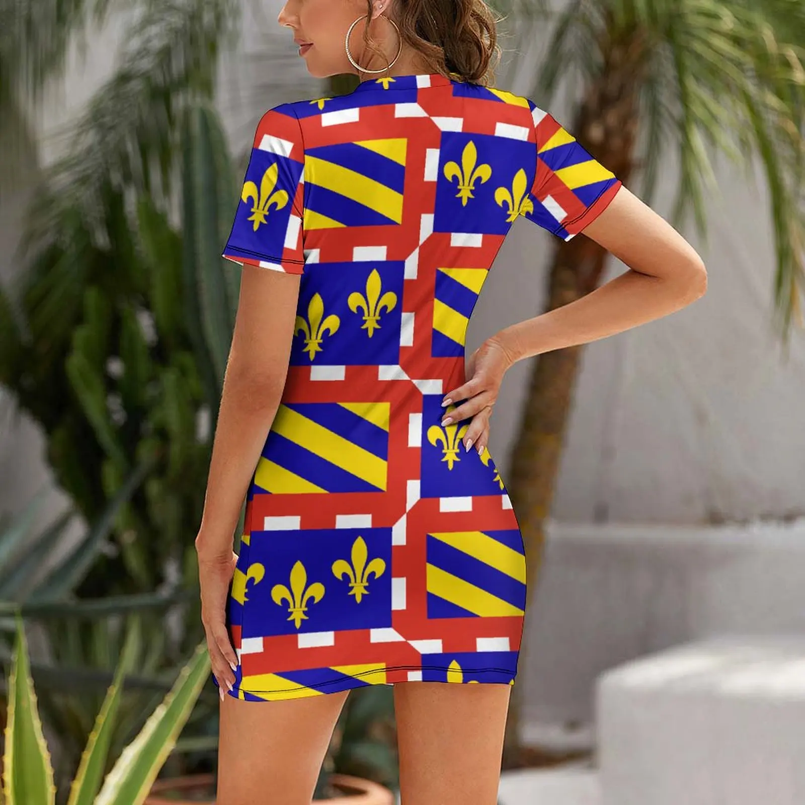 Sexy Flag of Bourgogne Short Sleeved Dress Humor Cocktails Woman's Clothing Strappy Dress Funny Graphic