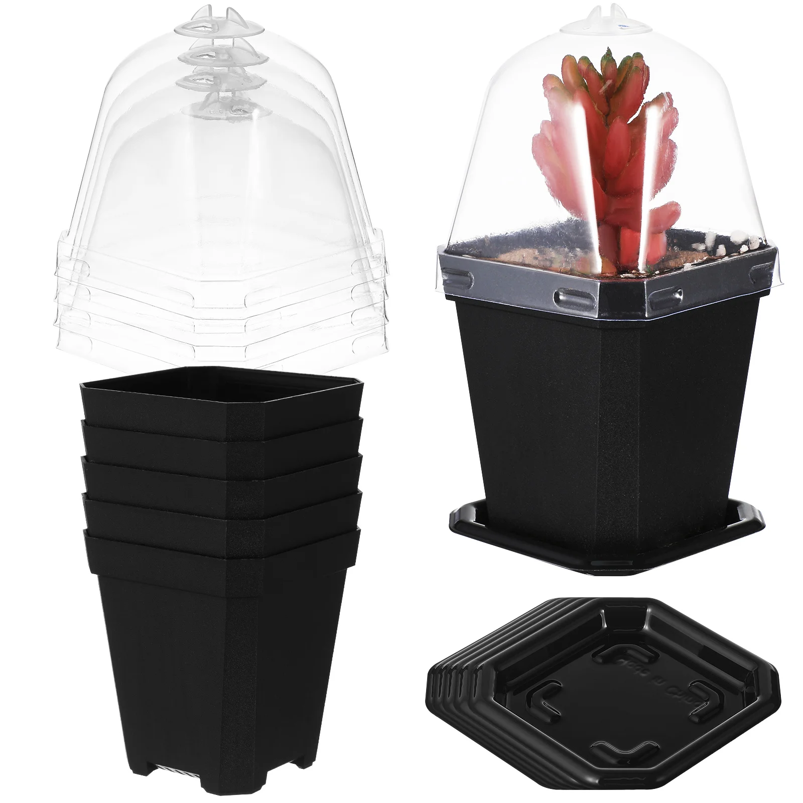 

5Pcs Seedling Pots Small Planter Pot with Humidity Domes Thickened Plastic Plants Pots for Healthy Root Growth Indoor Outdoor