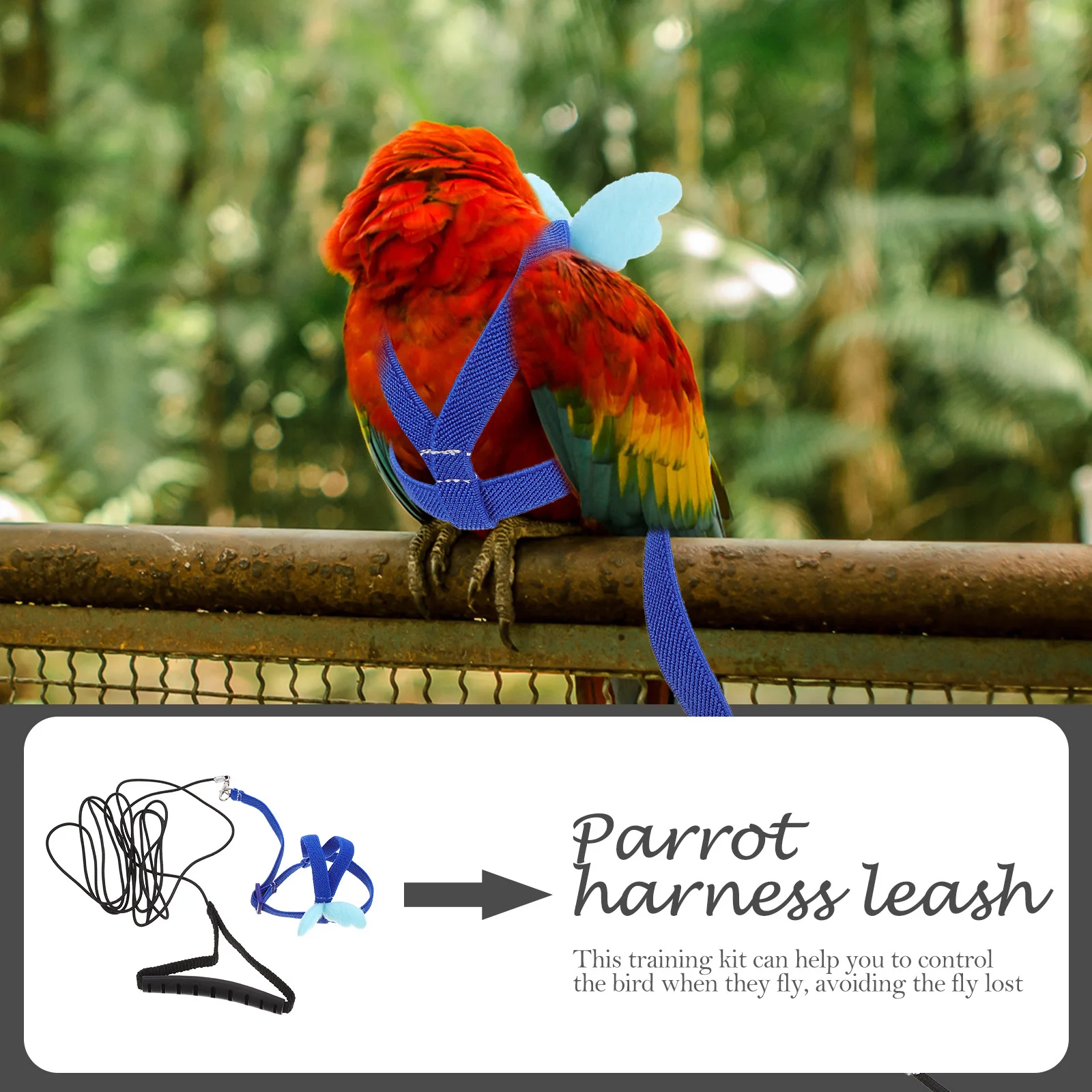

Bird Harness Leash Set Adjustable Pet Parrot Training Fly Traction Rope Cartoon Wing Design Durable For Small Birds Pet