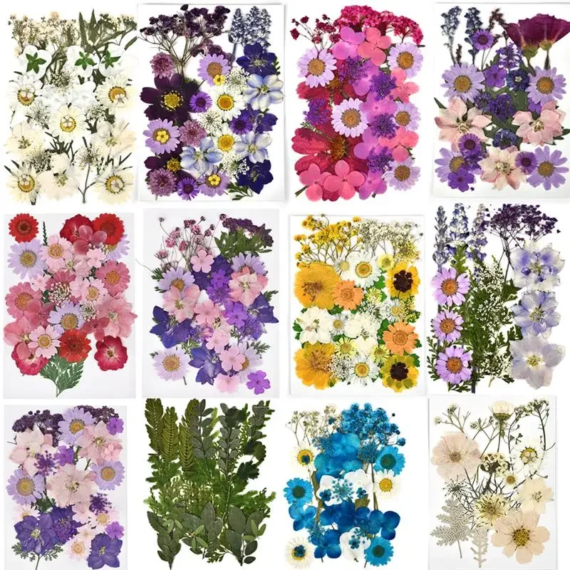 30-36 pieces/bag nature viola cornuta petals pressed flower DIY dry flower face stickers jewelry Mold Craft Tools