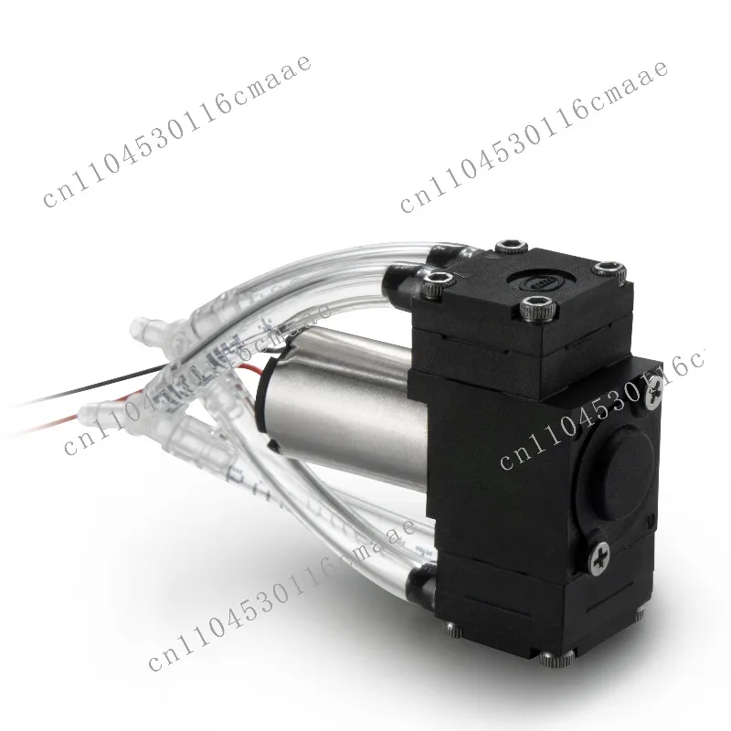 

Double Head Pump 1v 2v Mini Brushed Dc Pumps 3v 4v Factory ODM Design for Sale Carbon Brush Micro Pump