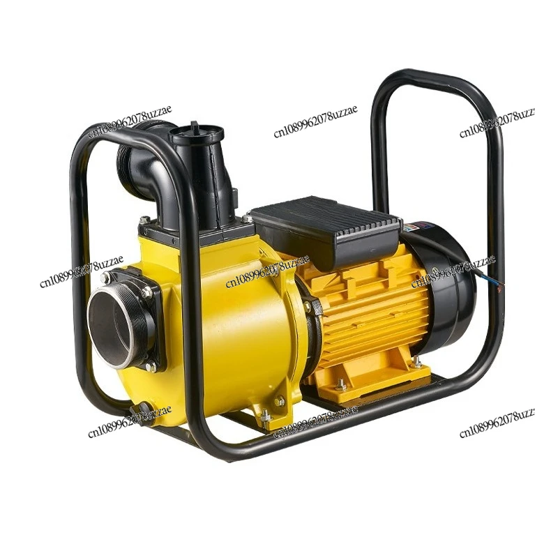 Portable Cast Iron Pump Stable and Durable Strong Centrifugal Pump