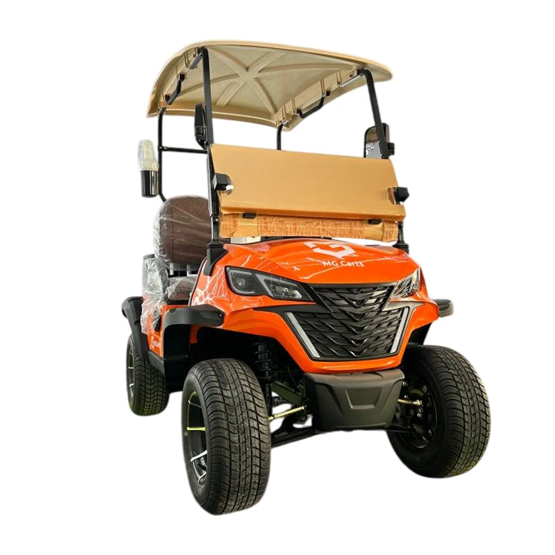 Golf Cart 2 Seats With Ball Holder 60V Lithium Battery 14 Inch Road Tire Sightseeing Solar Practical 2 Seat Golf Cart