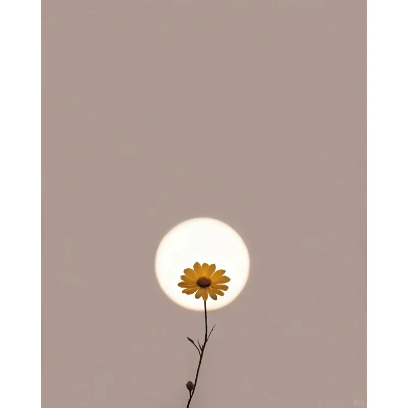 

Зарядная док-станция 2-в-1 с держателем для телефона и зарядкой для смарт-часов, аксессуары для замены OPPO Watch 3 Pro/3/2