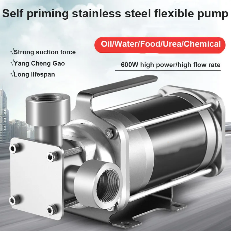 Self-Priming Electric Oil Well Pump Stainless Steel Flexible Pump For Chemical Diesel Urea Food Honey Glue Lift 40L/Min