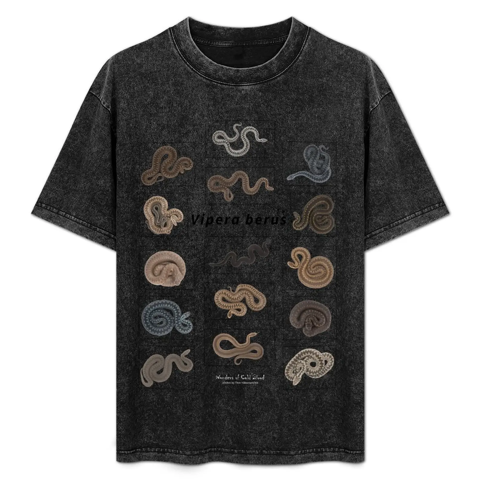 

European adder (Vipera berus) T-Shirt Plus Size Loose Fit T-Shirt