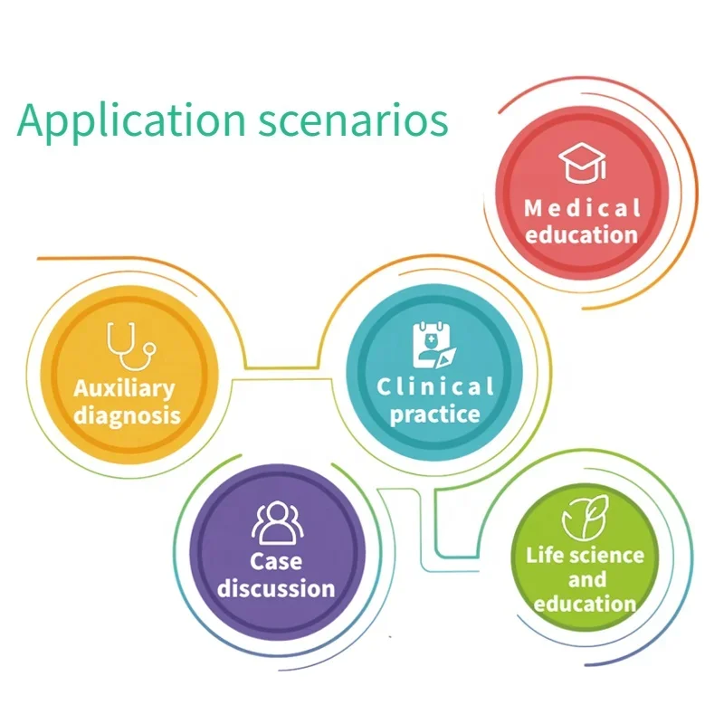 3D Body Virtual Autopsy Table Anatomage Digital Human Body Anatomy System for University