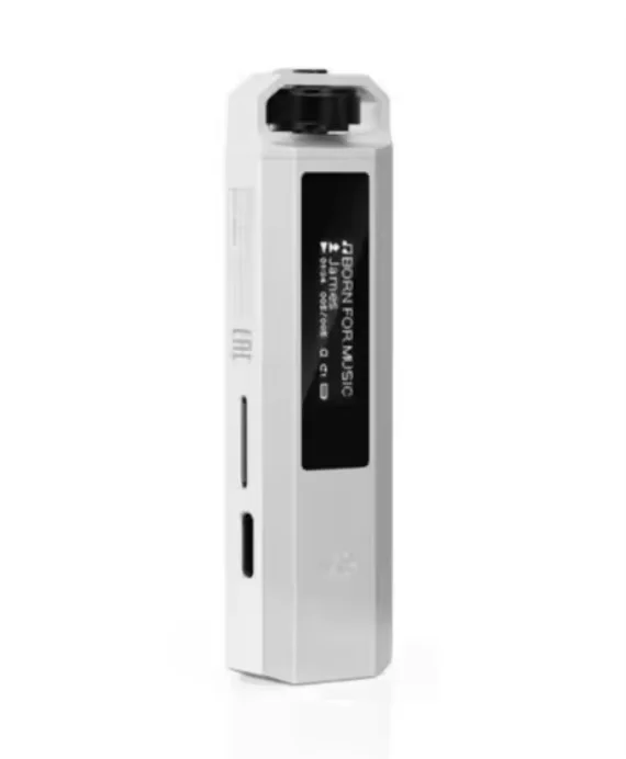 FiiO NANO SnowSky ECHO ポータブルHiFi音楽プレーヤー