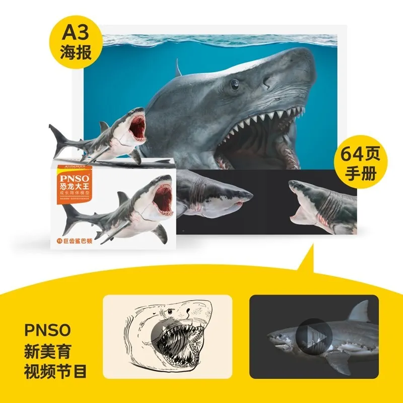 PNSO عظيم القرش الأبيض نموذج رفيق للنمو بارتون ديناصور الملك الشكل تحصيل اللعب والهوايات عمل أرقام