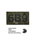 Luminous patch 16