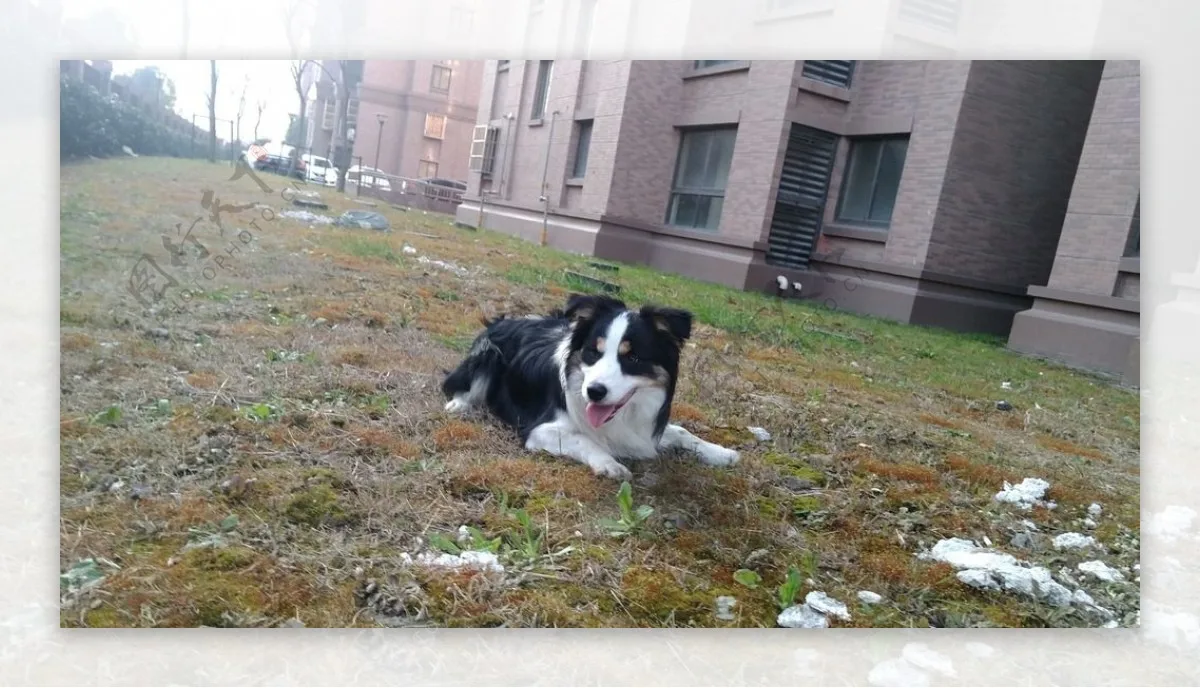 金属アップグレードリアアクスルハウジング WLtoys 12428 12423 12427 12428-A 12428-B 12428-C FeiYue 1/12 RC カーパーツ