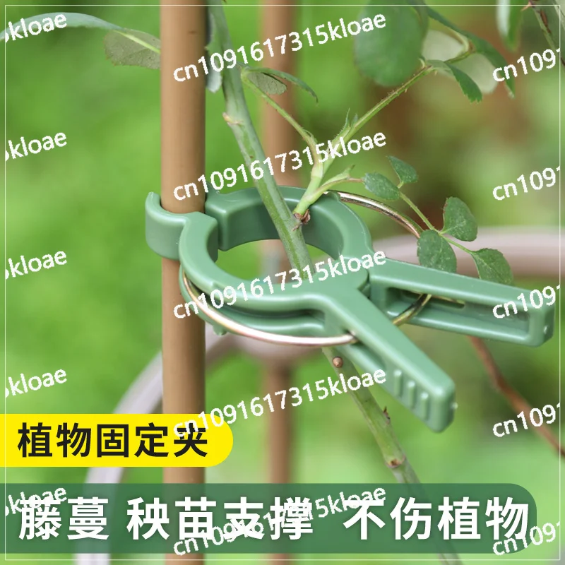 Horticultural plastic large tomato clip tied vine fixed tomato clip plant hanging seedling clip