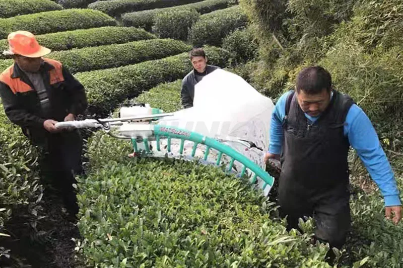 الذراع خفيفة الوزن المحمولة شخص مزدوج الشاي نتف يترك حصادة الشاي جمع آلة نتف الزراعية F