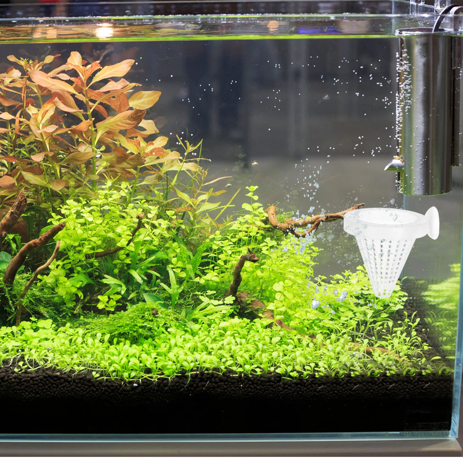 

10Pcs Cone Bloodworm Fish Feeder Red Worm Funnel Plastic Aquarium Suction Cup Live Food Protector 6.7cm Diameter Height