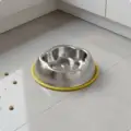Yellow Single Bowl