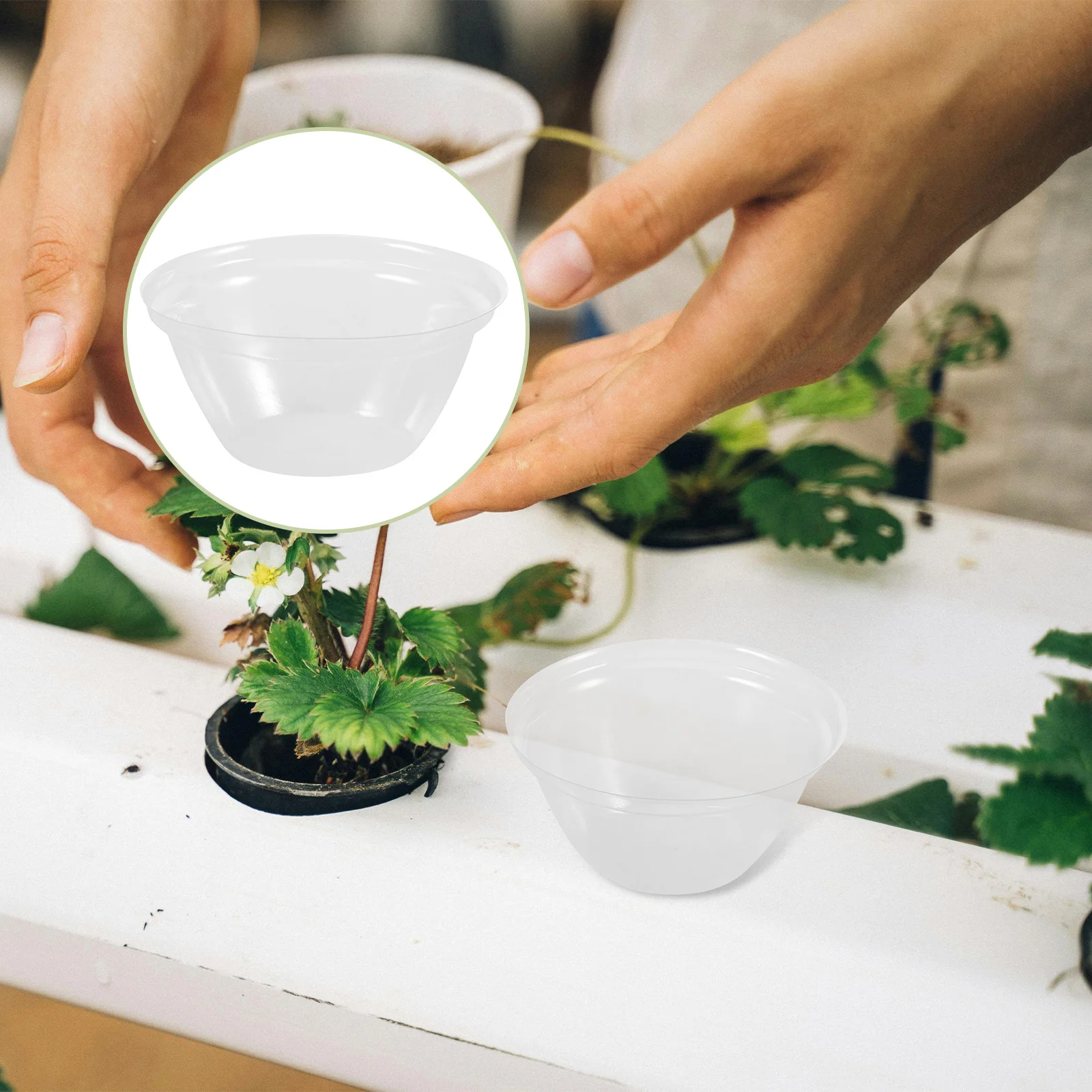 

100pcs Plant Dome Cover Reusable Transparent Sprout Domes For Seedling Growth Garden Cloche Tunnels Humidity Protection