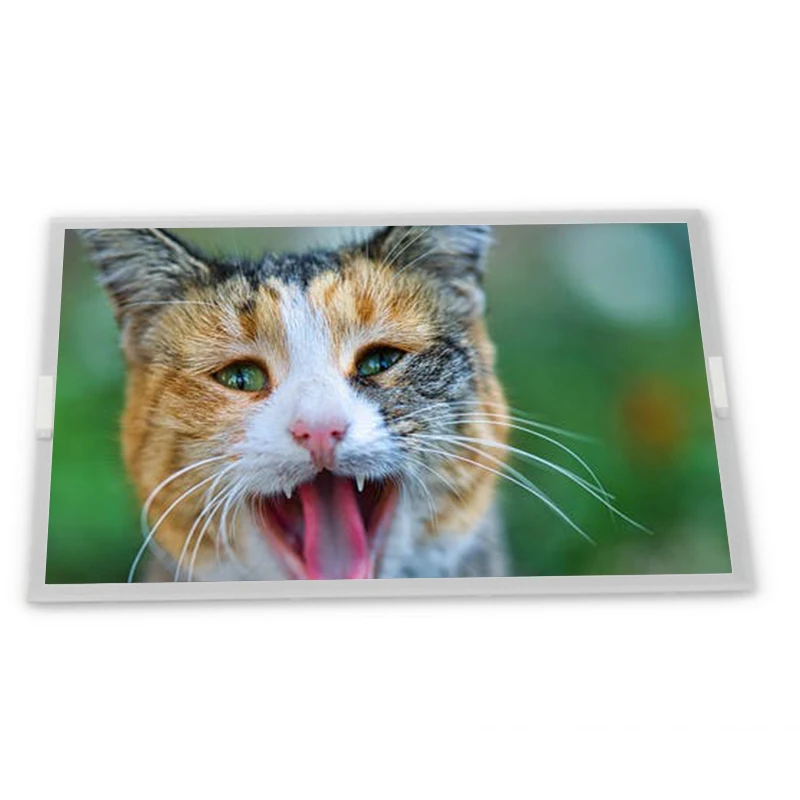 G084SN03 V.3 8.4 inch 800*600 WLED TFT-LCD Display Panel G084SN03 V3 Zhiyan supply