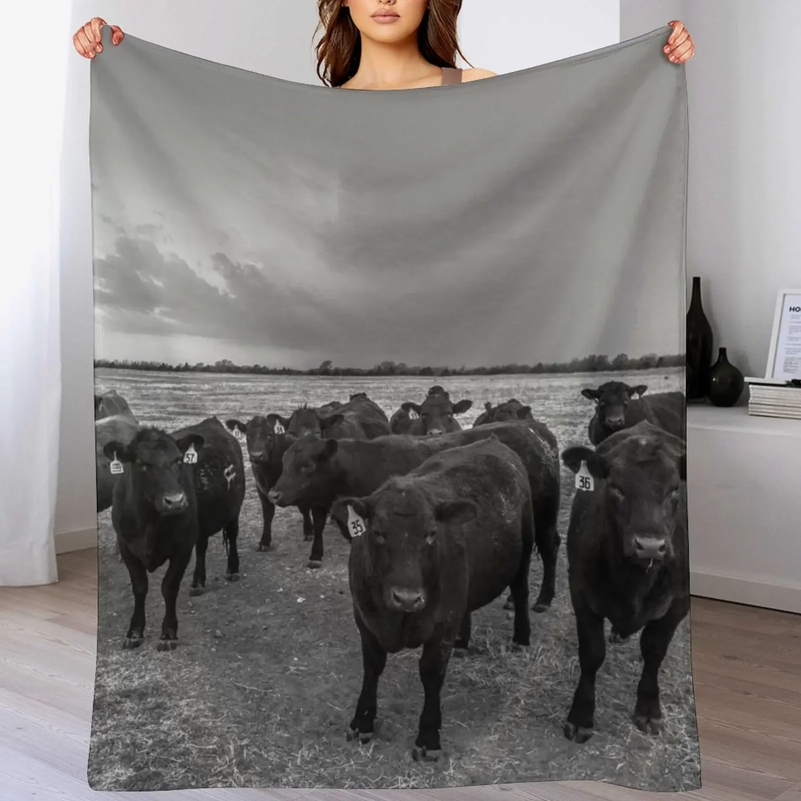 Hanging Out - Angus Cows Gather as Storm Brews in Kansas Throw Blanket Beautifuls valentine gift ideas Blankets