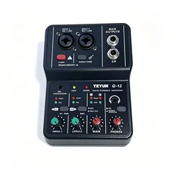2 Channels Professional Portable Audio Interface Sound Card Console Mini USB MIXER for Guitar Recording Studio Singing TEYUN Q12