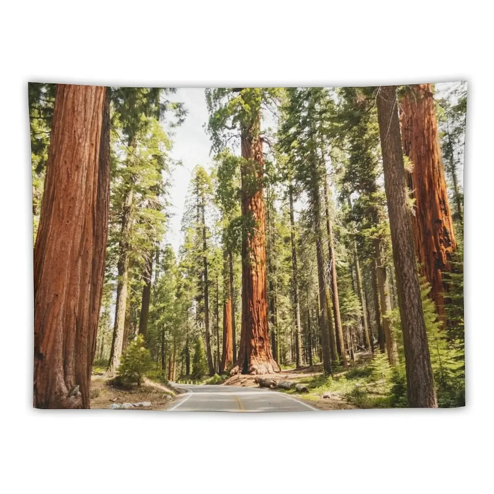 sequoia national park Tapestry Bedroom Organization And Decoration Decoration Pictures Room Wall Home Decorations Tapestry