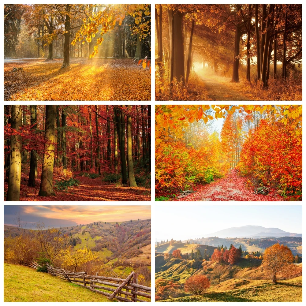 

Autumn Scenery Deciduous Photography Backdrop Deciduous Mountain Road Tree Yellow Fall Leaves View Photo Background Decor Studio