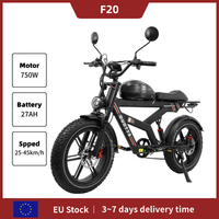 DUOTTS F20 Electric Bicycle 1000W 52v27AH Battery EBike Disc Oil Brake  20*4.0 Fat Tire Electric Bike