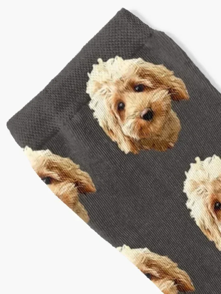 Cavapoo Cockapoo Doodle Cuteness Socks Antiskid soccer winter thermal kids Men Socks Luxury Brand Women's