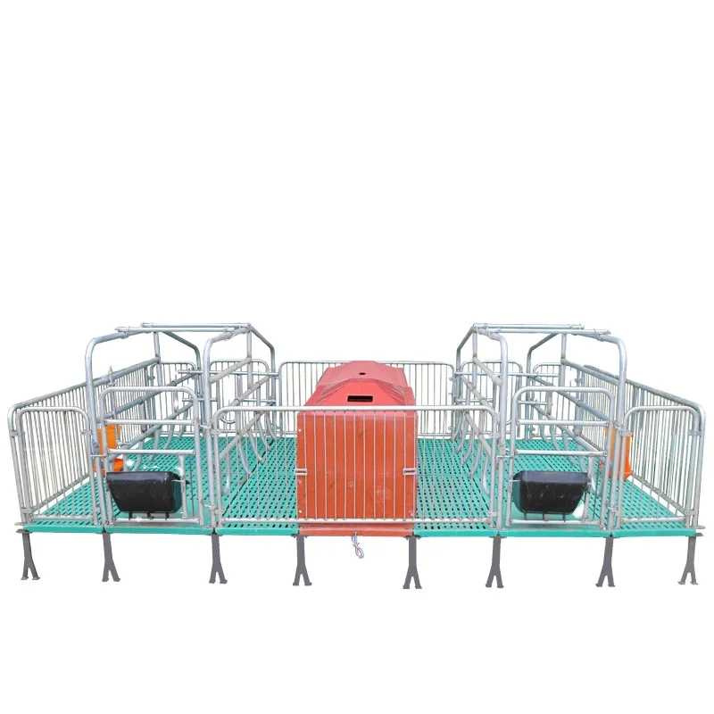 

Pig Raising Equipment Hog Sow Cage Farrowing Crates Pig Breeding and Nursing Crates With Feeders and pig farming equipment