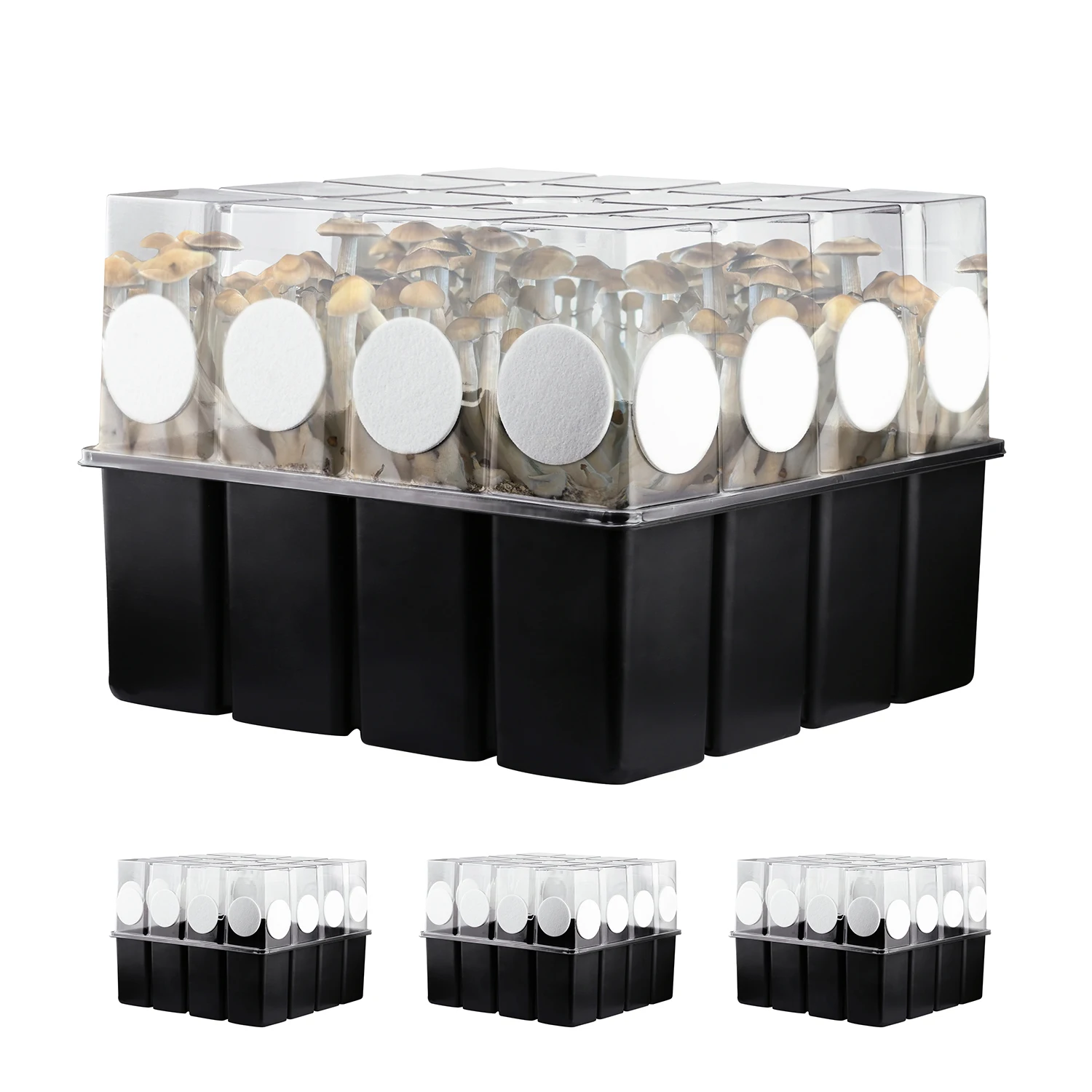 3 Pcs Mushroom Grow… - image