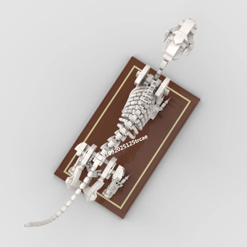 New 722Pcs Hot Selling Display Series Cat Skeleton Model Building Custom Puzzle Diy Creative Ideas Toys Birthday Christmas Gifts