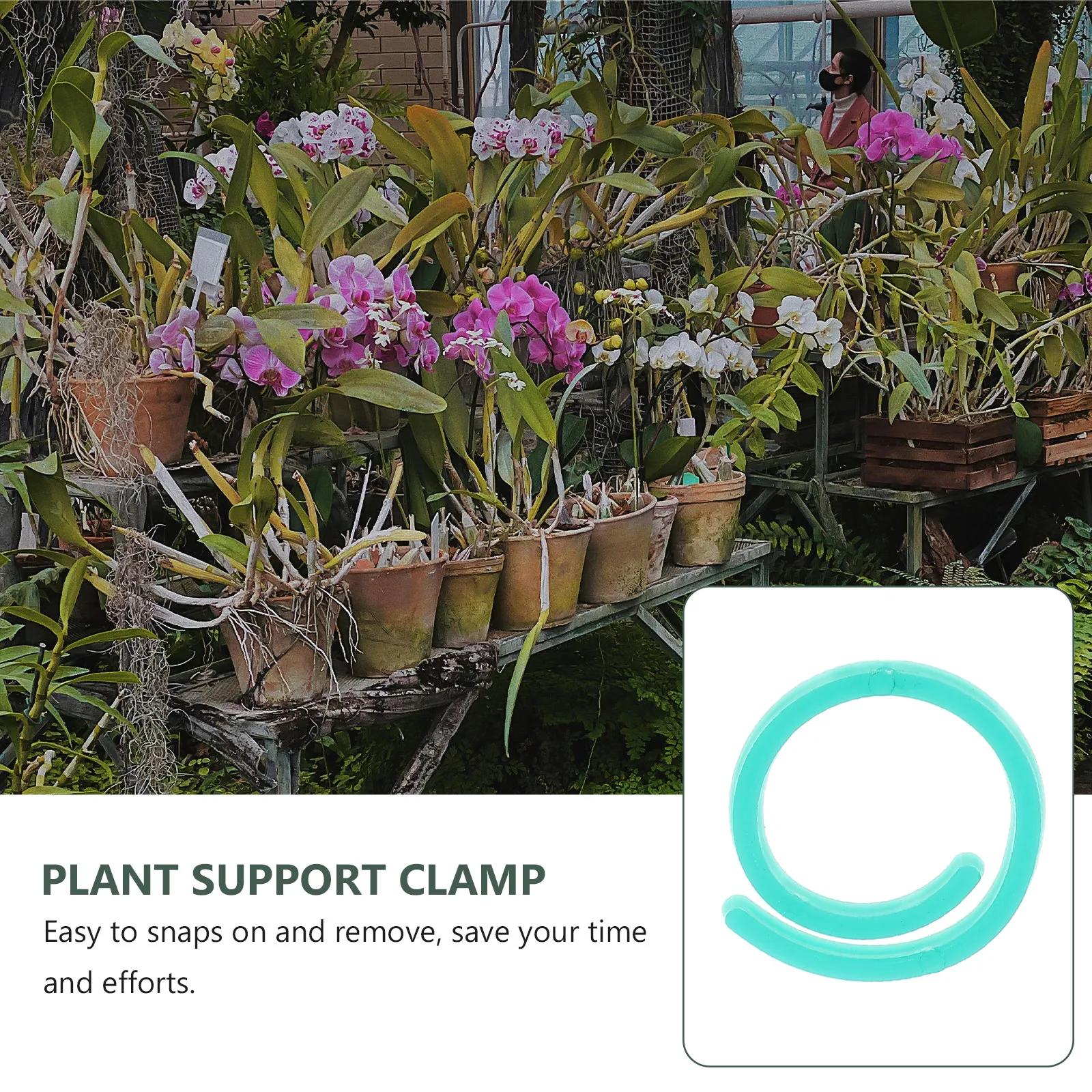200 ชิ้น คลิปหนีบก้านต้นไม้พลา - Vine Climbing Plastic บทวิจารณ์และราคา