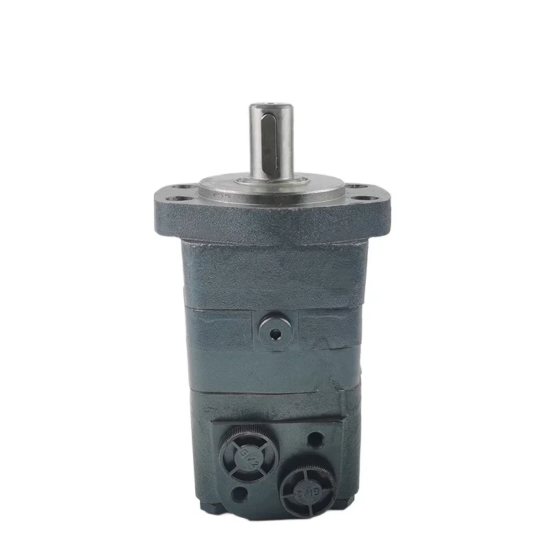 Supply Hydraulic Motor BMS Bmsy Cycloidal Hydraulic Motor Can Replace OMS Small Size and High Efficiency