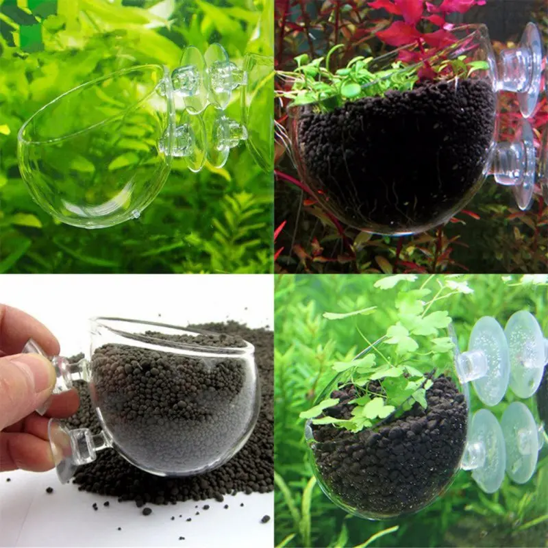 Clear Aquatic Plant Cup With Suction Holder Glass Plant Cup Pot Vase Red Worm Feeder for Fish Tank Aquarium Aquascape Decoration