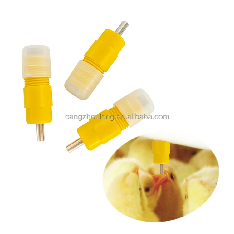 Bebederos de Doble Sellado YYB para Pollos, Sistema de Bebederos para Aves de Corral