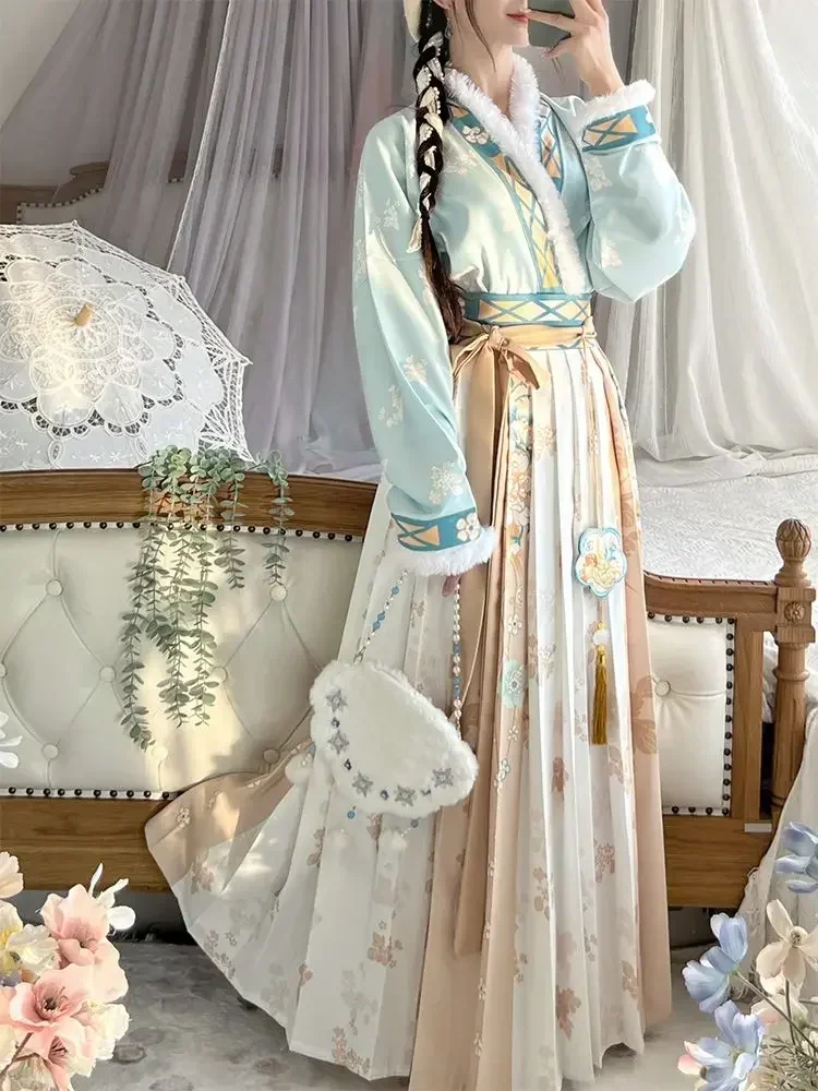 Ensemble de robe Hanfu de la dynastie Song pour femmes, robe de princesse en peluche douce vintage, robes chaudes de style chinois traditionnel pour dames, automne, hiver