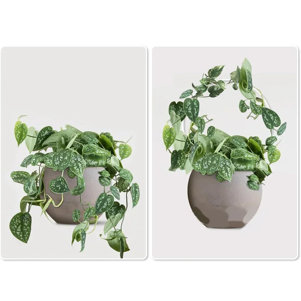 For Indoor Decoration Acrylic Plant Climbing Frame Robust Support For Plants Indoor Decor Artistic Touch For Plant Arrangements