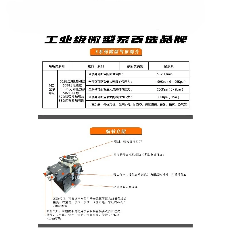 Miniature Diaphragm Vacuum Pump VOC Gas Analysis Suction Pump 220V Flue Gas Sampling Pump