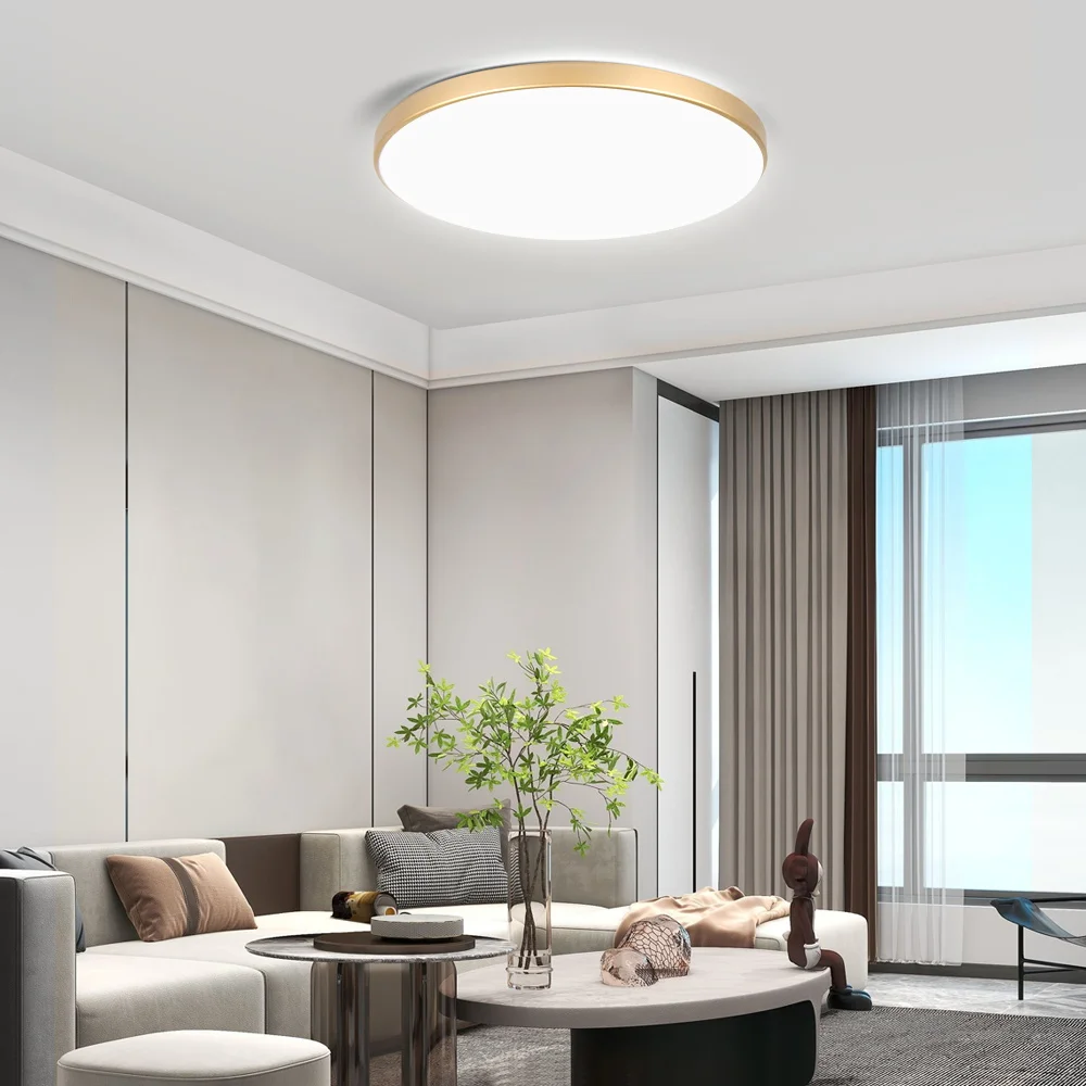 Golden Ceiling Lights with Remote Control Smart Dimmable Home Decor Living Room Modern Ceiling Lamp for Bathroom Kitchen Bedroom