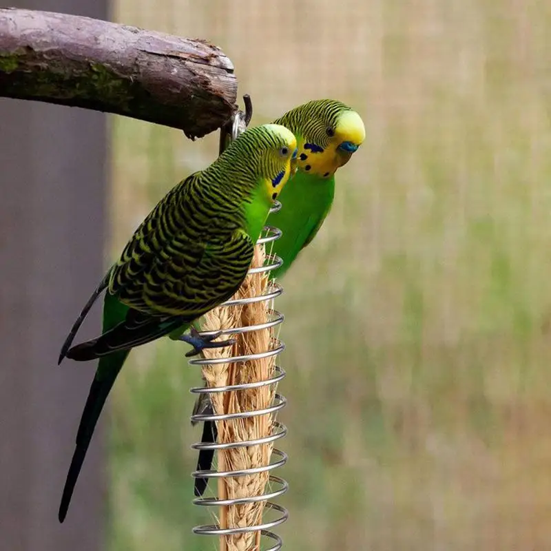 

Bird Toys For Conures Conure Toys Fruit Feeder Bird Supplies 3 Pieces Stainless Steel Cage Accessories Foraging Pet Supplies