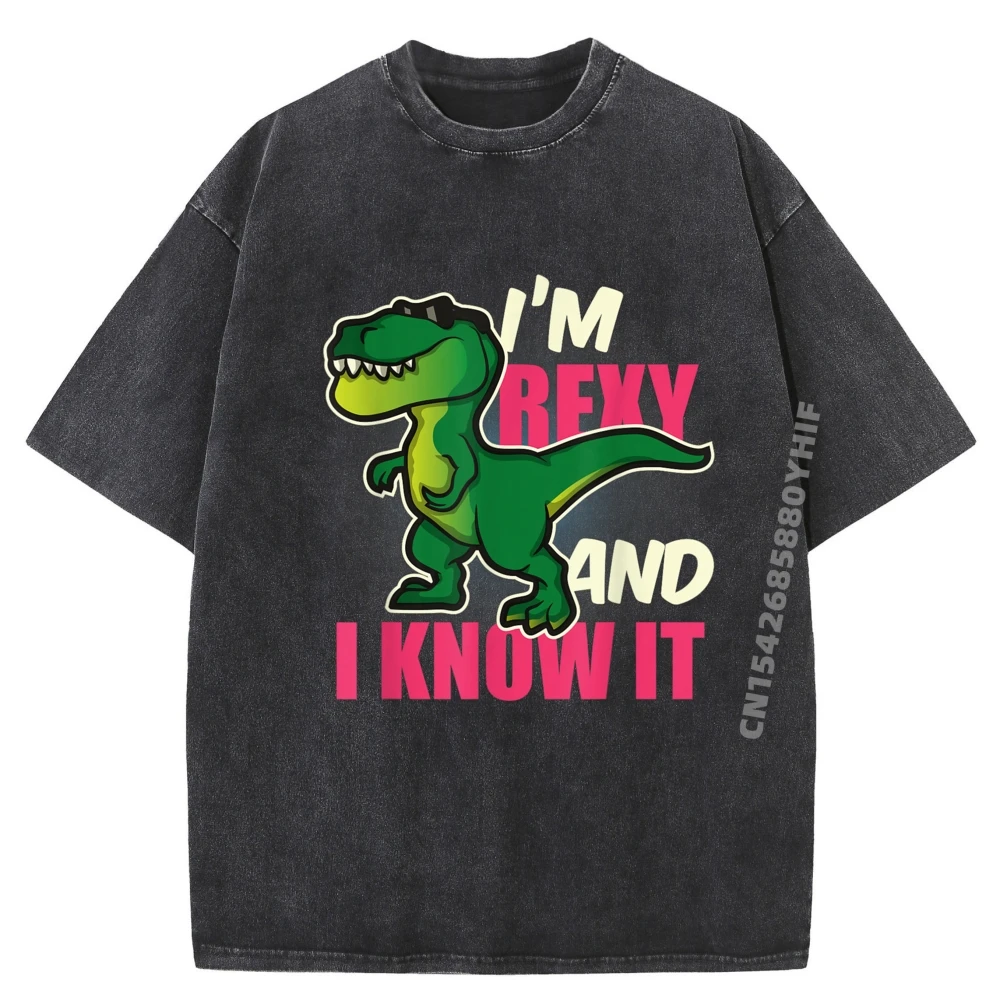 

Funny Dinosaur T Rex Shirt For Children Youth And Adults Free Shippping Clothes Meme Tshirt Korean Fashion Washed Shirt