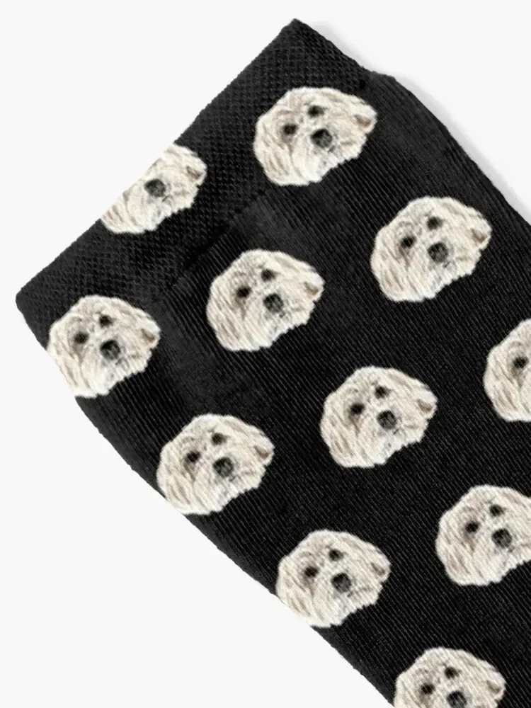 Teddy the Havanese Socks anti-slip tennis Socks Female Men's