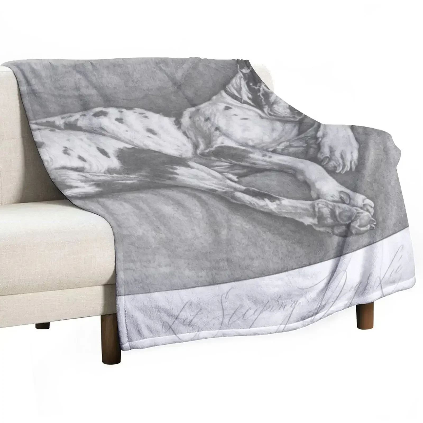Great Dane pencil drawing circa 1930 Throw Blanket Luxury Thicken Luxury St For Decorative Sofa for babies Hairy Blankets