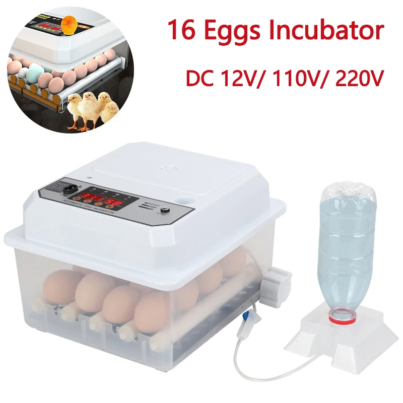 16 Eggs Incubator Dual Electric Egg Turning Farm Poultry Fully Automatic Mini Household Brooder For Chicken Goose Duck Bird