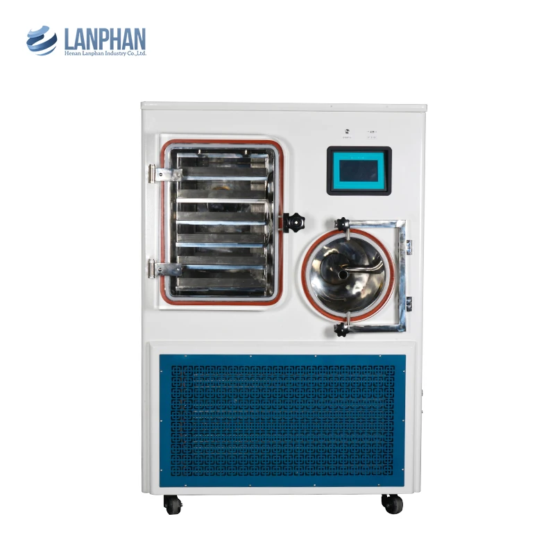 Macchina per liofilizzante multifunzionale per liofilizzatore sottovuoto da laboratorio in polvere cosmetica per alimenti pilota da 6 kg