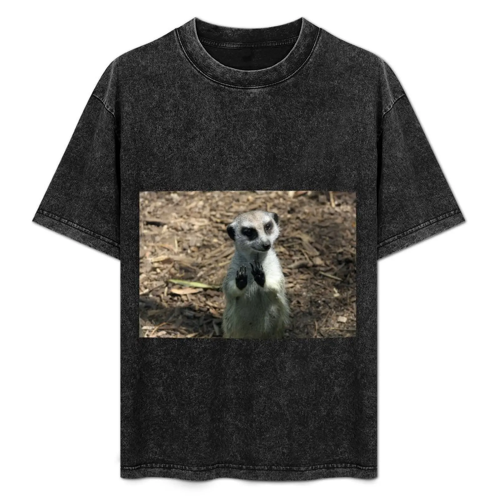 

Stop T-Shirt Plus Size Quick Dry Sports Tee